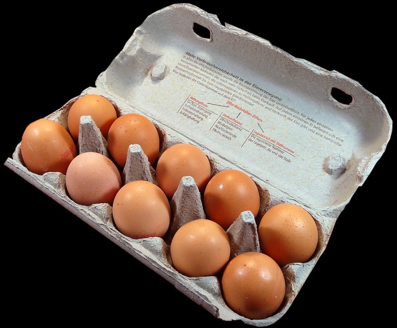 Egg Carton Animals